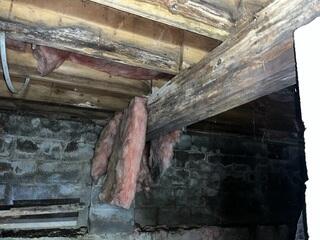 Termite Damage in Nicholasville, Kentucky