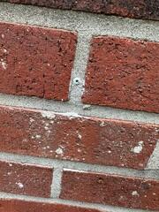 Last but not least, we then took points around the home. These points allows us to document if the foundation ever settles in the future. If it does, it's covered under our lifetime warranty.