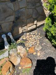 The IceGuard Discharge Line safeguards against freeze-related backups, ensuring that water is properly channeled away from the crawl space year-round.