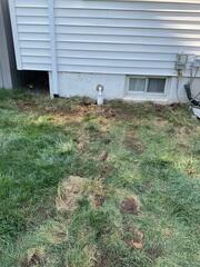 To ensure the sump pump system operates effectively year-round, we added our IceGuard Discharge Line. It prevents water backup if the discharge pipe freezes, allowing safe and continuous drainage even in cold weather.