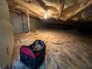 Crawl Space in need of Encapsulation