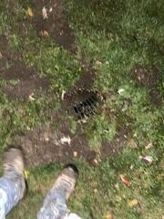 LawnScape™ Outlet:
A discreet discharge outlet is installed at the end of the drain line to safely disperse water away from the foundation while blending with the landscape.