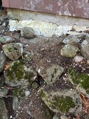 High-density structural polyurethane has been injected to permanently fill the gap. This material seals the area, stops further soil erosion, and provides continuous, stabilized support to the interior slab.