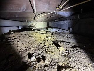 Supporting a Crawlspace in Richmond, MA