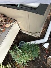 LawnScape was installed as an outlet on the lawn to release the floodwater from the crawl space. The grate is green and flat, making it inconspicuous for curb appeal and making landscaping easy.