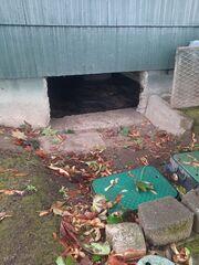 An open vent in this crawl space was causing water intrusion as well as an easy entrance for pests and rodents to make themselves at home.