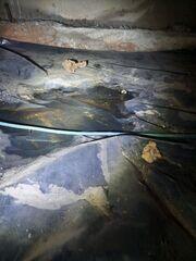 Standing Water in Crawl Space in Keizer, OR