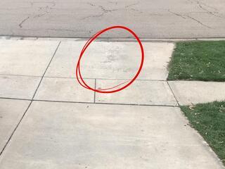 This photo shows a zoomed in shot of the last picture. The red circle highlights the evidence of spalling and pitting on the driveway apron. This can happen overtime due to harsh chemicals, weathering, moisture, etc...