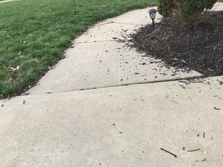 This photo was taken upon the initial inspection and shows the sunken sidewalk. Because this sidewalk sunk, the mulch was prone to washing out over the top of it. The homeowners were frustrated with the amount of sweeping required for this sidewalk.