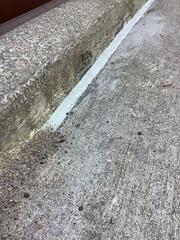 Following the application of the flexible sealant, we apply polymeric sand into the surrounding joints. This specialized sand hardens when cured, serving a critical structural function: it helps to lock the concrete slabs in place, effectively preventing further movement or sinking away from the house wall. This step is key to achieving long-term stabilization.
