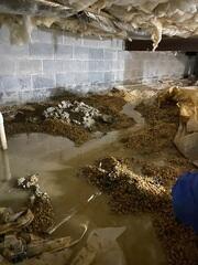 Crawl Space Encapsulation in Bryans Road, MD