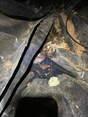 Unprotected Crawl Space in Need of Transformation- Sandy, OR