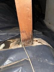 There were may signs of water in this crawl space. This wooden post had some wood rot because when water was present with no where to drain, it was absorbed into the porous concrete footing, damaging the wooden post.