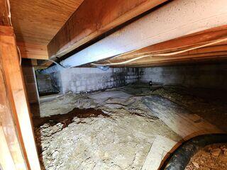 Before: The Design Specialist recommended encapsulating the entire crawl space.
