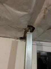 SmartJack® Support System
The SmartJack Support System is engineered with heavy-duty, galvanized steel components designed to resist rust and corrosion. Installed on a properly prepared footing, the SmartJack was precisely adjusted to provide reliable, long-term support for the structure above. Its adjustable design enables accurate load transfer and reliable performance over time.