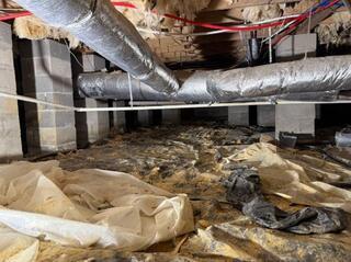 Crawl Space Transformation in Terry, MS