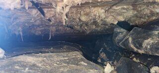 This crawl space is a mess and has a damaged vapor barrier. Humidity was attracting pests and rodents as well.