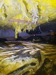 Stagnant Water in the Crawl Space- Portland, OR