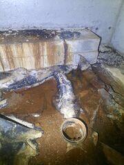 Water with no where to go becomes stagnant and is then absorbed causing a lot of damage in the crawl space.