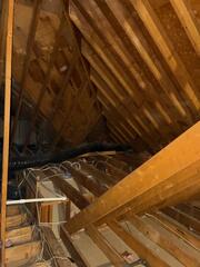 Next, we disinfected the attic.