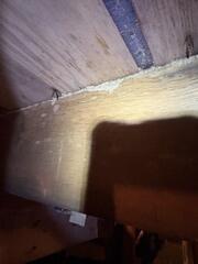 Termites use the mud tubes to travel to and from their nest when foraging for food. These protective tubes allow the termites to stay moist underground.