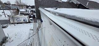 Gutter Shutter system