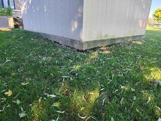 This view highlights the hollow space created by shifting soil. Without support, the concrete pad has begun to drop, pulling the shed out of alignment and leaving the edge exposed to the elements.