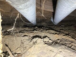 Before: Our Design Specialist, Brady, recommended encapsulating the crawl space.