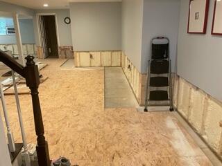 Comprehensive Basement Waterproofing and Finished Space Restoration in Duns...