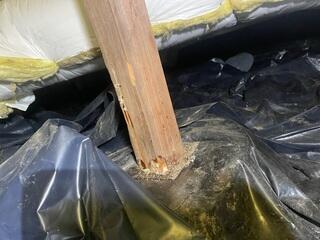 Both the rodents and water were beginning to damage the wooden posts.