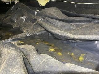 Stagnant water with nowhere to go began to cause high humidity throughout the entire home