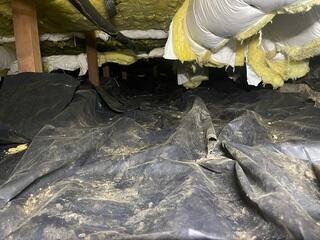 This crawl space was in terrible shape and was these homeowners a headache.