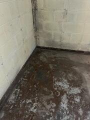 Before: Our Design Specialist, Ryan, recommended waterproofing the entire basement.