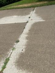 Up close, the gaps show exactly where the foundation is failing. As moisture washes away the supporting soil, the heavy slabs lose their level. Addressing these voids now prevents a total concrete collapse later.