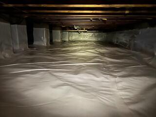 Another shot of the CleanSpace Liner.