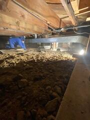 During: Our Foreman, Victor, and his crew succesfully encapsulated the damaged crawl space.