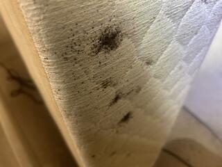 ...and in several locations in the mattress.