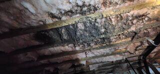 Due to the high levels of humidity due to water intrusion, mold began to grow on the old insulation.