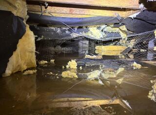 Crawl Space Before 4