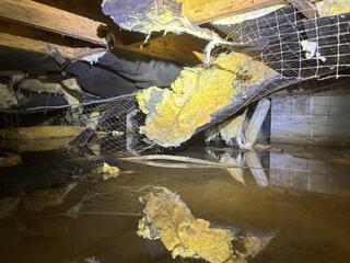 Moisture, Mud, and Mold