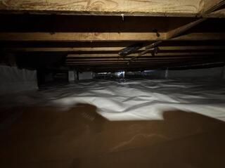 Crawl Space After 5