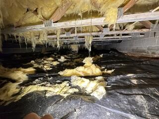 The damp and messy crawl space before our encapsulation project.