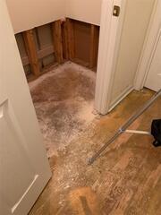 Toilet Overflow and Water Damage Remediation