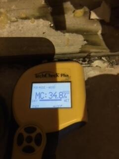 Moisture meters are used to track humidity levels during remediation.