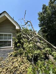 A fallen tree damages roof in Pendergrass, Georgia.