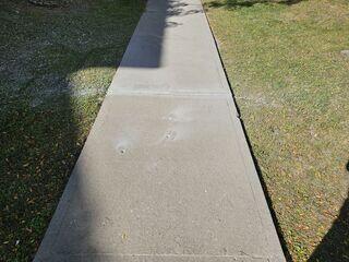 A top-down view shows the finished surface. The "mountain ranges" at the joints have been completely leveled, and the small, discreet entry points are the only indication that this walkway has been professionally stabilized and is ready for immediate use.