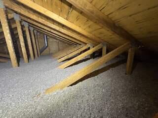 TruSoft™ cellulose insulation