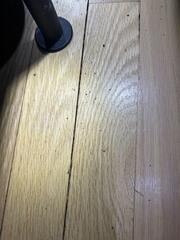 ...and all over the hardwood floor too.