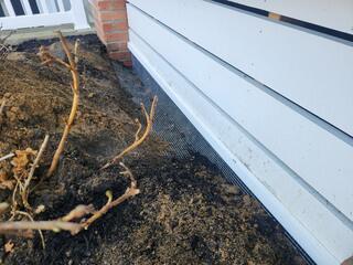 This sturdy "L shaped" perimeter will prevent the raccoon, and other nuisance wildlife, from burrowing and nesting underneath the area.