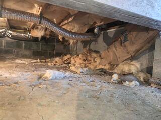 Exposed Dirt Floor and Porous Foundation Walls